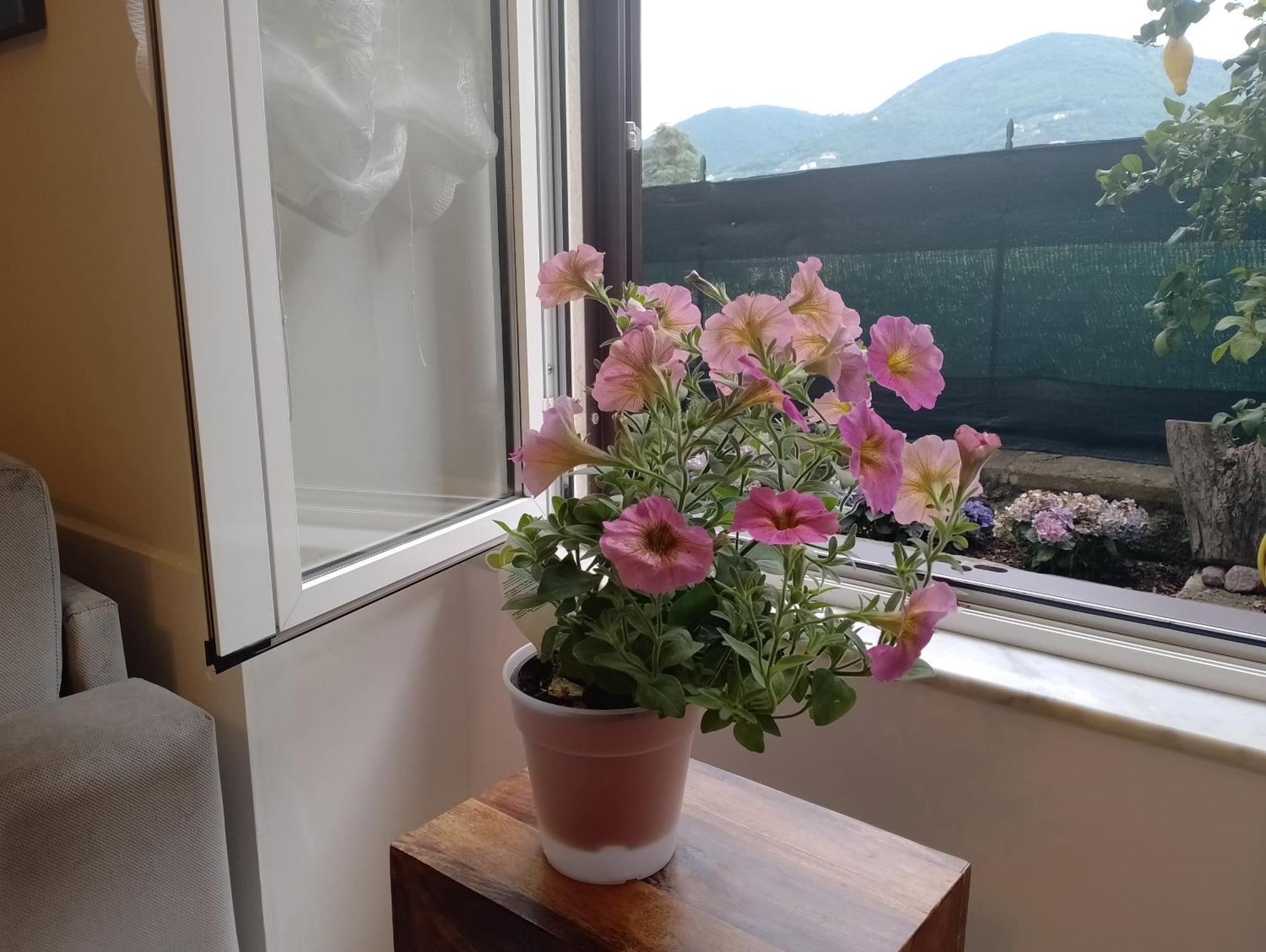 Apartament Casa Veve' La Spezia Zewnętrze zdjęcie